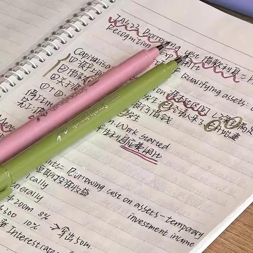 斑马DPWF9烟熏秀丽笔（颜色可到店自选） 商品图1