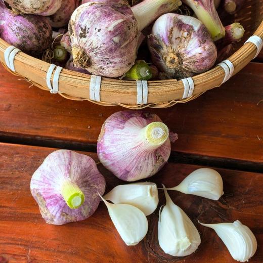 生态鲜大蒜（紫皮，老品种）| 合作生产*Ecological garlic| Coproducted 商品图2