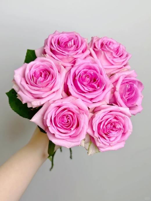 精品国产单头玫瑰苏醒玫瑰花10支 商品图4