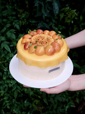 【杏子烤布蕾】精选新疆空运吊干杏、一年仅30天的赏味期