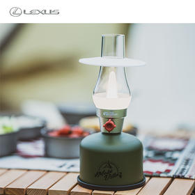 LEXUS × MOBIGARDEN氛围灯