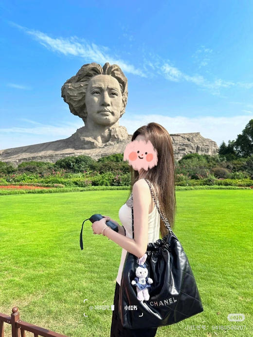 升级高定𝟐𝟐𝐛𝐚𝐠. 黑银 商品图3