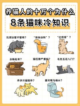 ❓养猫人的十万个为什么|猫咪冷知识