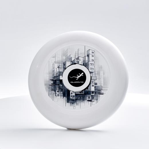 立体几何印花飞盘 商品图4