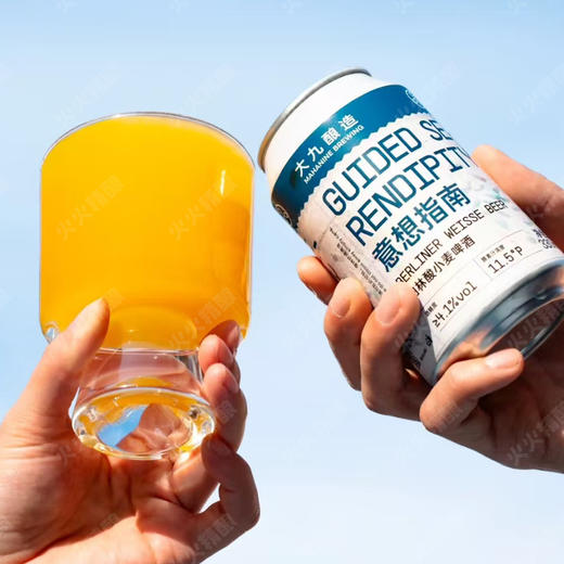 大九 意想指南 330ml 商品图0