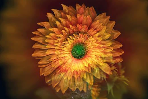 特惠！8.20室内实操课【摄影六曝】玩转曝光技法，解锁光影密码！ 商品图10