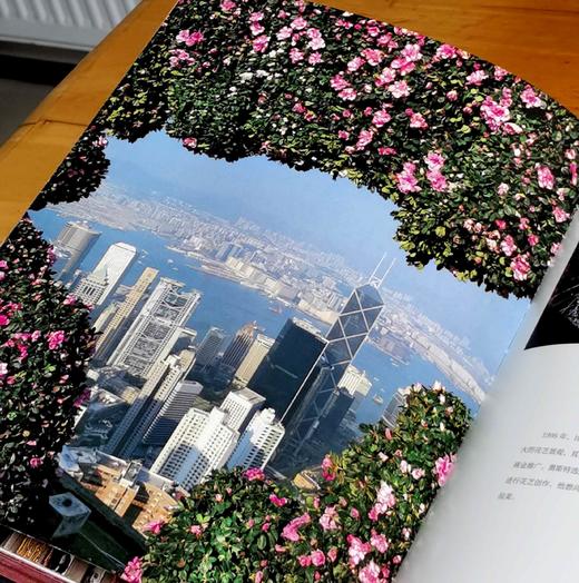 刷边8开巨册：《丹尼尔.奥斯特花艺的华彩瞬间》，8开，精装，刷边本，保罗·吉尔特著；鹿石花艺教育译，湖北科学技术出版社2019年一版一印，定价393，售价98元。 商品图10