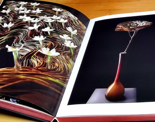 刷边8开巨册：《丹尼尔.奥斯特花艺的华彩瞬间》，8开，精装，刷边本，保罗·吉尔特著；鹿石花艺教育译，湖北科学技术出版社2019年一版一印，定价393，售价98元。 商品图8