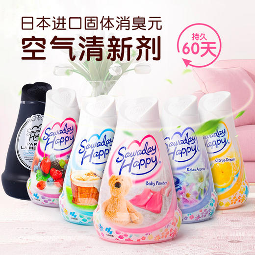 日本进口小林制药固体消臭元120g【多香型】 商品图0