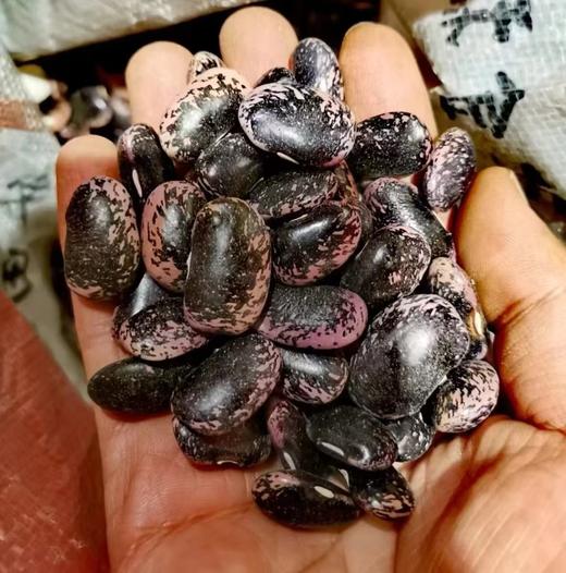 生态芸豆  500g 商品图5