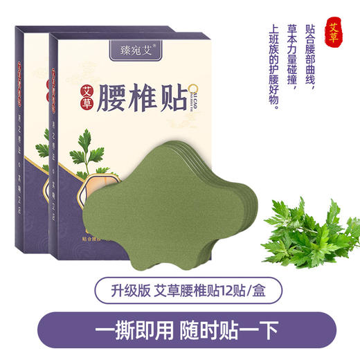 艾草膝盖贴 艾叶颈椎贴腰椎贴 艾灸贴暖贴艾草贴12贴/盒 商品图6
