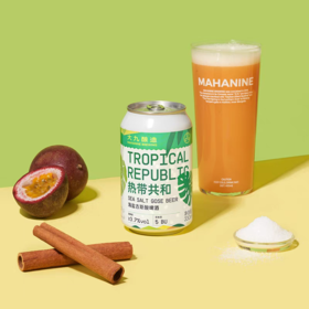 大九酿造 热带共和 330ml