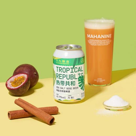 大九酿造 热带共和 330ml 商品图0