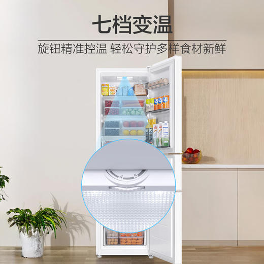 海尔（Haier）217升三门中门软冷冻宿舍租房家用小冰箱小型小巧不占地节能省电BCD-217LHC3E0WV 商品图5