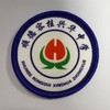 通版佛山市顺德区容桂兴华中学包边校徽标姓名贴章可缝烫现货发51 商品缩略图0
