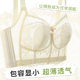 【大胸全包显小】超薄透气蕾丝调整型内衣女上托防垂收副乳文胸璀璨繁花