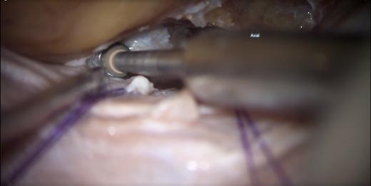 解剖示教 商品图0