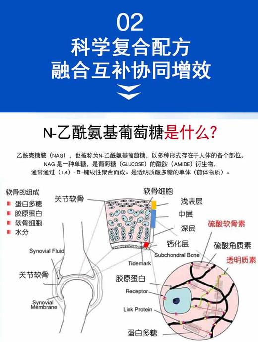 斯诺森氨糖含Ⅱ型胶原蛋白软骨粉 关注关节营养 美国原装进口 商品图4