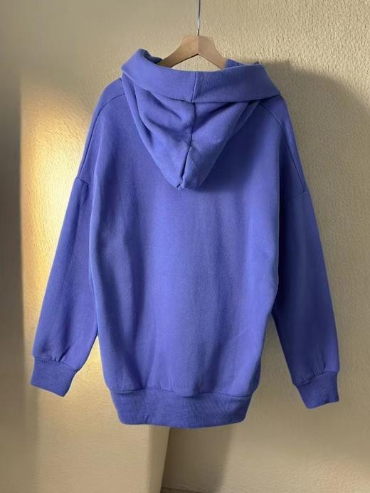 【诗铭洛可】（加绒）0945卫衣设计感秋冬卫衣B21-3 商品图1