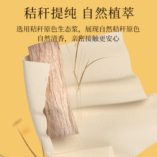 植护卫生纸卷纸实惠装家用原生厕纸厕所卫生专用纸大卷纸无芯厕纸 商品图2