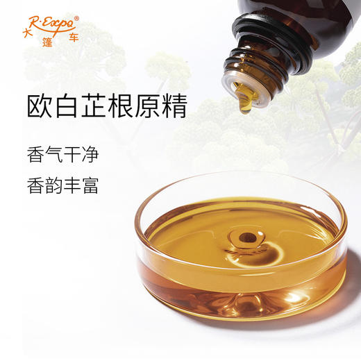 欧白芷根原精 Angelica 法国产地直采 精油原料批发 大篷车精油 商品图1