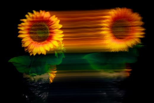 特惠！8.20室内实操课【摄影六曝】玩转曝光技法，解锁光影密码！ 商品图2