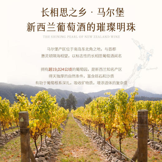 【马尔堡产区长相思】新西兰奇异鸟马尔堡长相思干白葡萄酒 清新百香果青柠香 13%vol 商品图5
