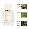 【年终限时大促】【保税仓直发·全球购】Chloe/蔻依仙境花园系列北国雪松香水 50ml 商品缩略图2