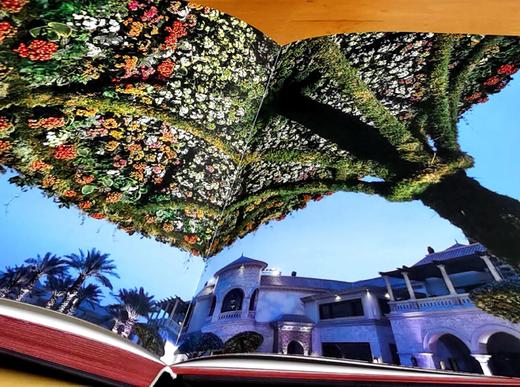 刷边8开巨册：《丹尼尔.奥斯特花艺的华彩瞬间》，8开，精装，刷边本，保罗·吉尔特著；鹿石花艺教育译，湖北科学技术出版社2019年一版一印，定价393，售价98元。 商品图11