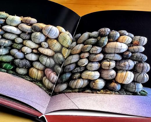 刷边8开巨册：《丹尼尔.奥斯特花艺的华彩瞬间》，8开，精装，刷边本，保罗·吉尔特著；鹿石花艺教育译，湖北科学技术出版社2019年一版一印，定价393，售价98元。 商品图6