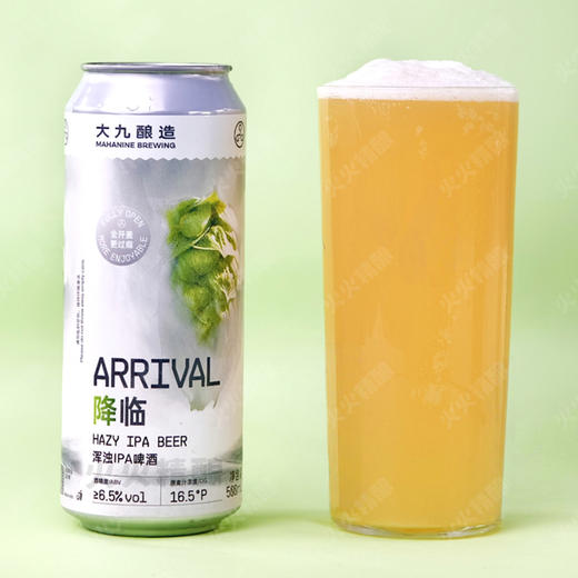 大九酿造 降临 500ml 商品图0