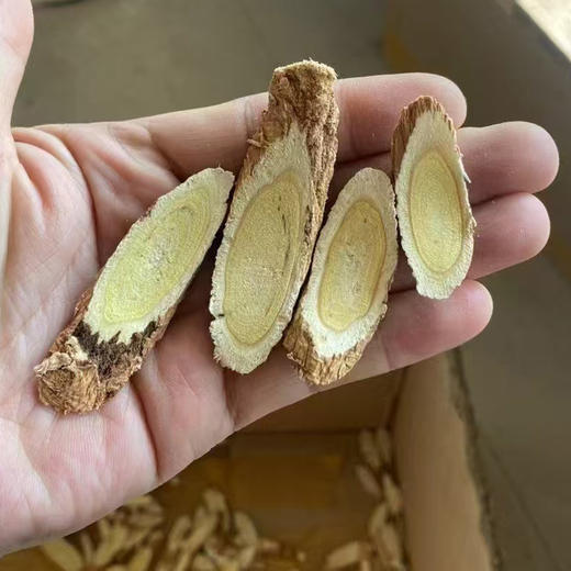 【甘肃特产】农芝语 纯野生甘肃黄芪 可追溯源品质保证150g/罐 商品图2