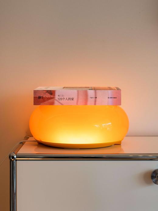 《123个人的家》加印新版！真正有用的自宅哲学 八百页当代中国家宅样本，原创家居设计词典谱系图 王牧之 主编 商品图1