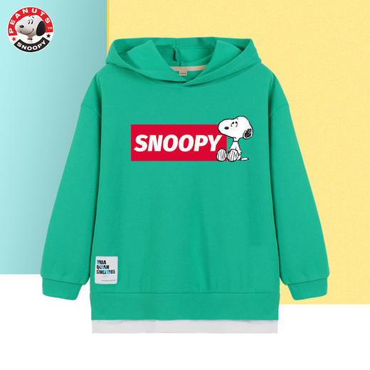 史努比男童春装卫衣2024年新款儿童运动服早春童装潮网红春秋上衣 商品图4
