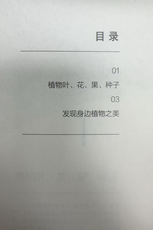 自然笔记手绘素材集（草木篇），花园时光工作室 &3223 商品图3