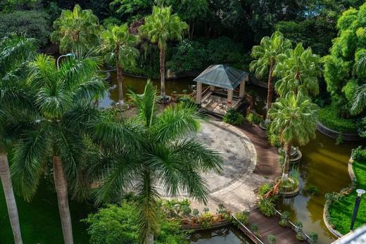 【云南建水临安基地】 商品图5