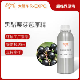 黑醋栗芽苞原精黑加仑浸膏 Black Current Bud 原料批发大篷车精油
