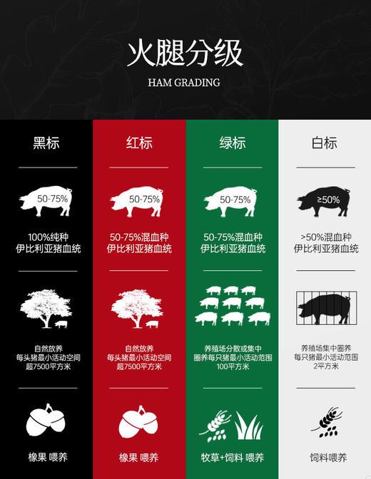 【森哥优选】5包装 secco赛科伊比利亚火腿 商品图4