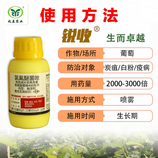 巴斯夫-锐收丰泰  有效防治炭疽、白腐、疫病 商品图2