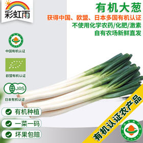 全国发货满额包邮 新鲜有机蔬菜 鲜葱大葱250g欧盟认证 彩虹雨农场