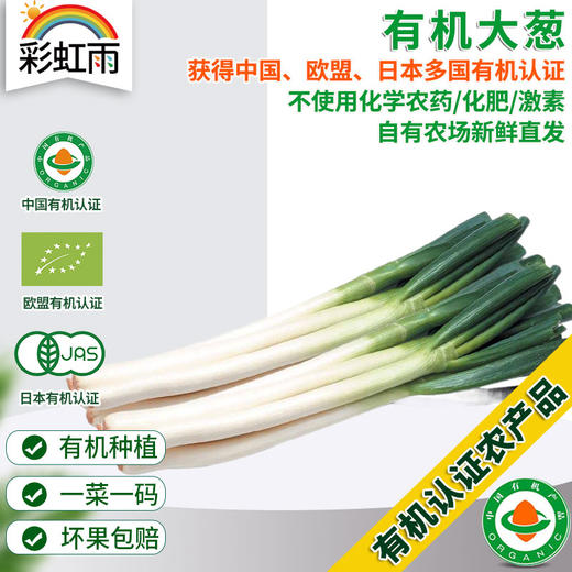 全国发货满额包邮 新鲜有机蔬菜 鲜葱大葱250g欧盟认证 彩虹雨农场 商品图0