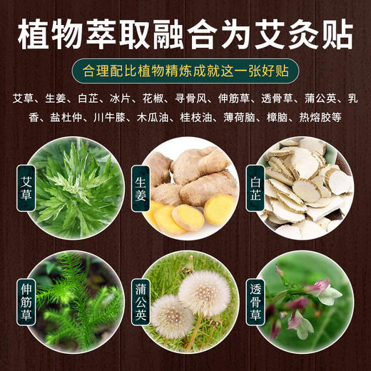 艾草膝盖贴 艾叶颈椎贴腰椎贴 艾灸贴暖贴艾草贴12贴/盒 商品图2