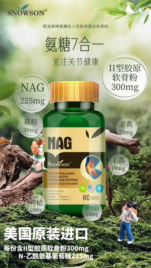 斯诺森氨糖含Ⅱ型胶原蛋白软骨粉 关注关节营养 美国原装进口 商品图13