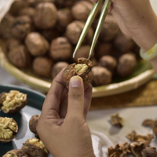 壳薄仁白 鲜嫩清甜 | 四川攀枝花老树鲜核桃 去青皮鲜核桃 新鲜应季 3斤-8斤中大果 送网兜+铁钩夹子 商品图12