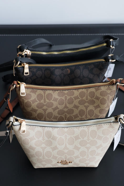 C0ACH 女款饺子包 奥来经典款手提斜跨腋下包 PJ010 商品图2