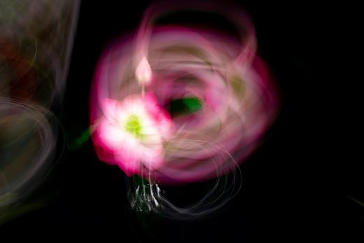 特惠！8.20室内实操课【摄影六曝】玩转曝光技法，解锁光影密码！ 商品图7