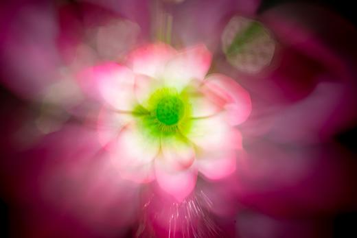 特惠！8.20室内实操课【摄影六曝】玩转曝光技法，解锁光影密码！ 商品图3