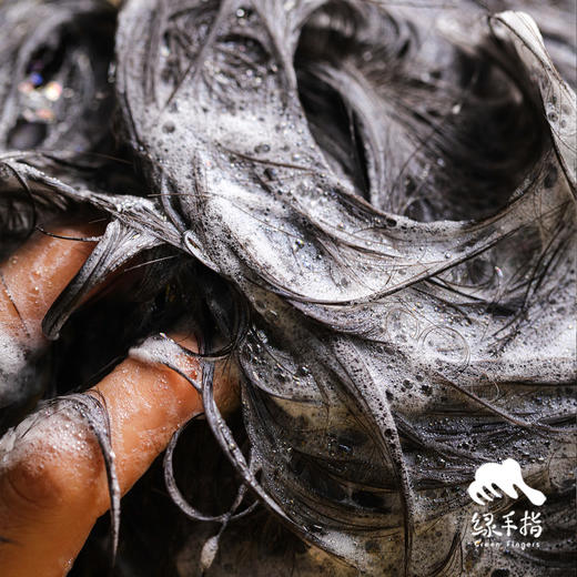 侧柏草本洗发水（买3送1） | 合作生产*Cypress Herbal Shampoo | Partner Production 商品图3