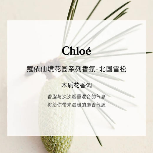 【年终限时大促】【保税仓直发·全球购】Chloe/蔻依仙境花园系列北国雪松香水 50ml 商品图3