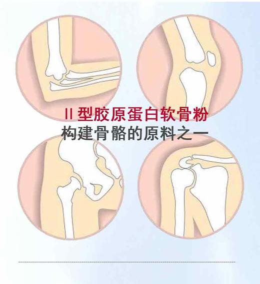 斯诺森氨糖含Ⅱ型胶原蛋白软骨粉 关注关节营养 美国原装进口 商品图5